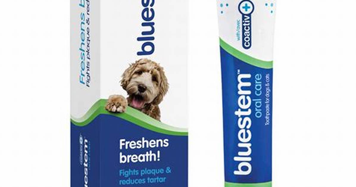 When Does Dog Toothpaste Expire?