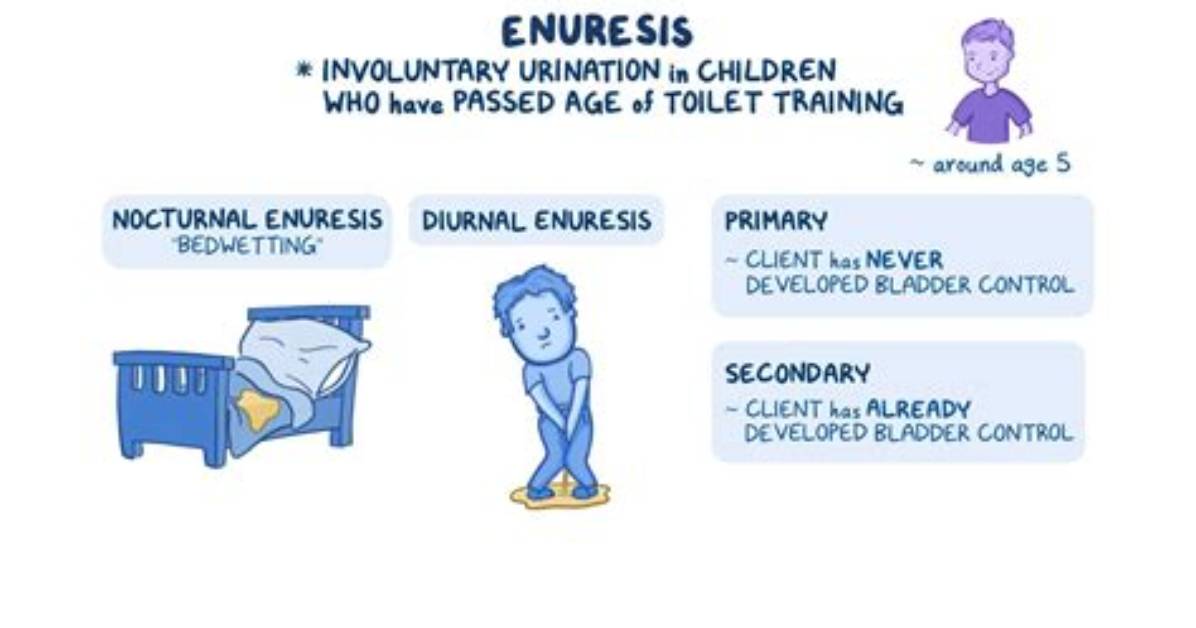 When Does Enuresis Occur?