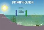 When Does Eutrophication Occur?