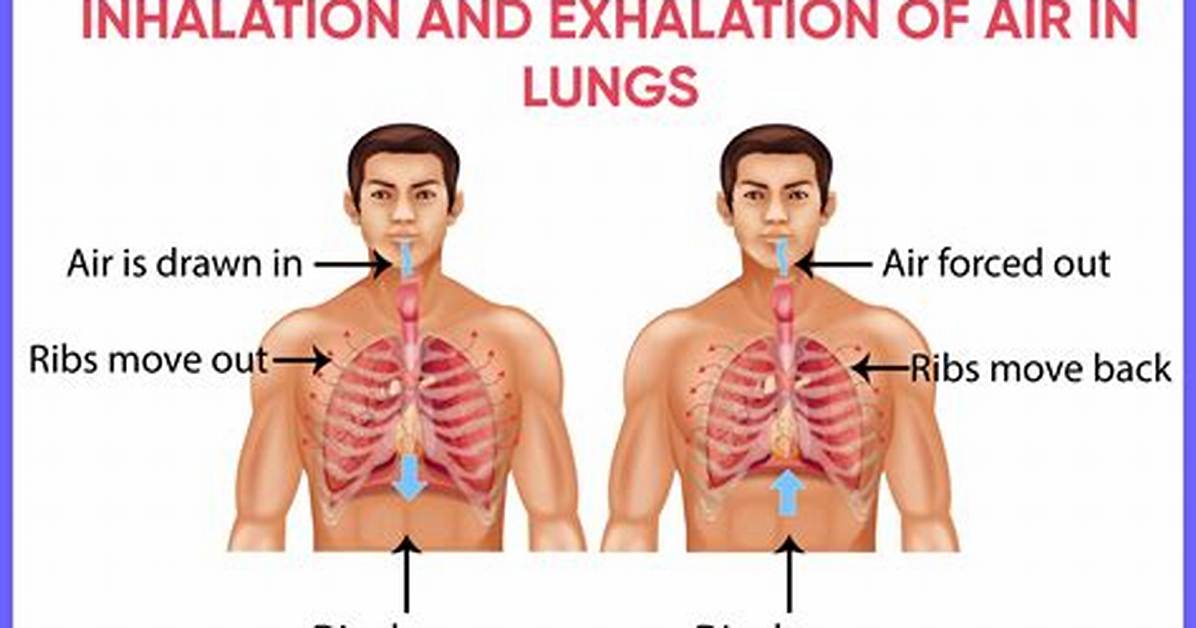 When Does Exhalation Begin?