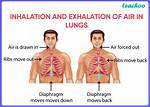 When Does Exhalation Begin?