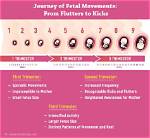 When Does Fetus Movement Start?