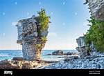 When Does Flowerpot Island Open?