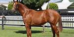 When Does Gelding Start?