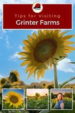 When Does Grinter Farms Open?