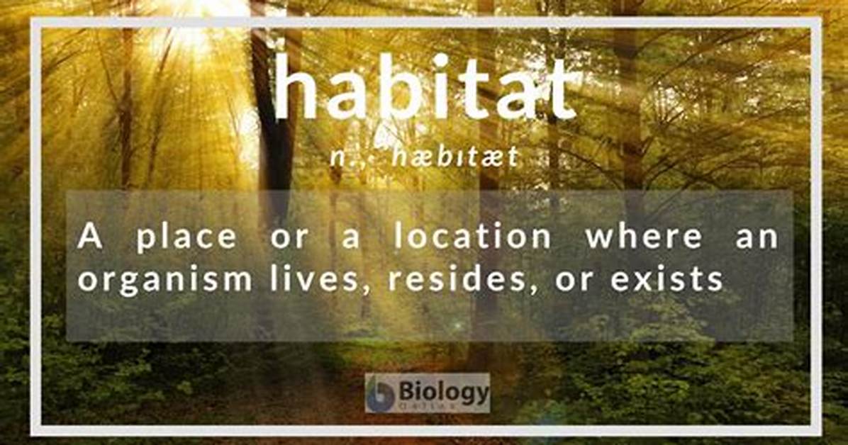 When Does Habitation Mean?