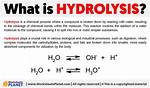When Does Hydrolysis Occur?