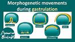 When Does Involution Occur?