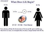 When Does Life Begin Biologically?