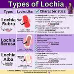 When Does Lochia Stop Smelling?