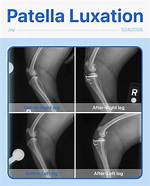 When Does Luxating Patella Need Surgery?