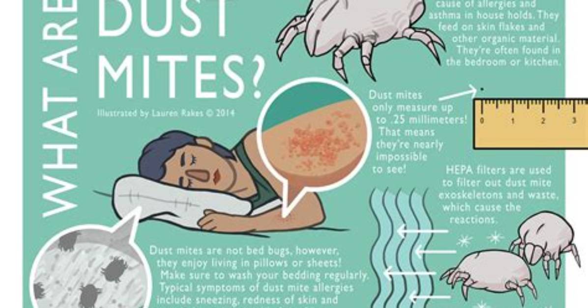 When Does Mite Mean?