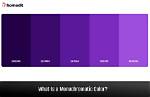 When Does Monochrome Mean?