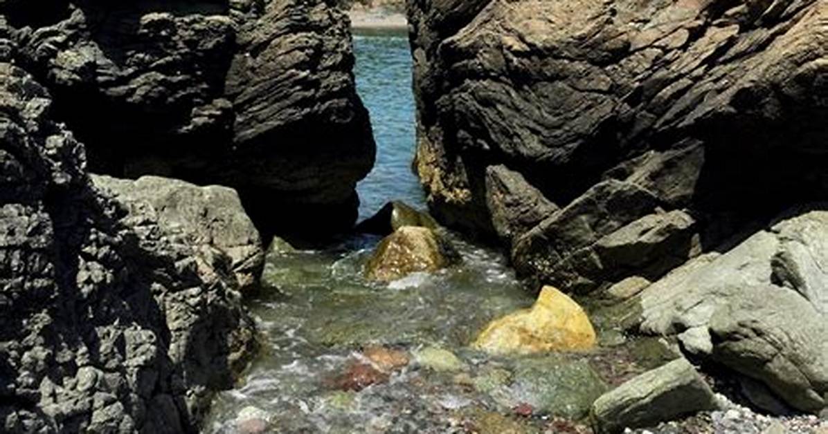 When Does Nahant Beach Open?