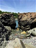 When Does Nahant Beach Open?