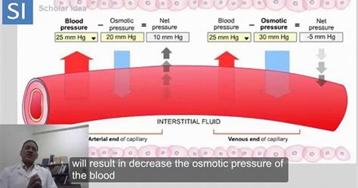 When Does Oncotic Pressure Decrease?