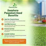 When Does Paspalum Seed?