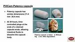 When Does Patency Capsule Dissolve?