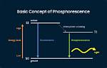 When Does Phosphorescence Occur?