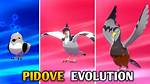 When Does Pidove Evolve