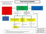 When Does Postcoital Bleeding Occur?