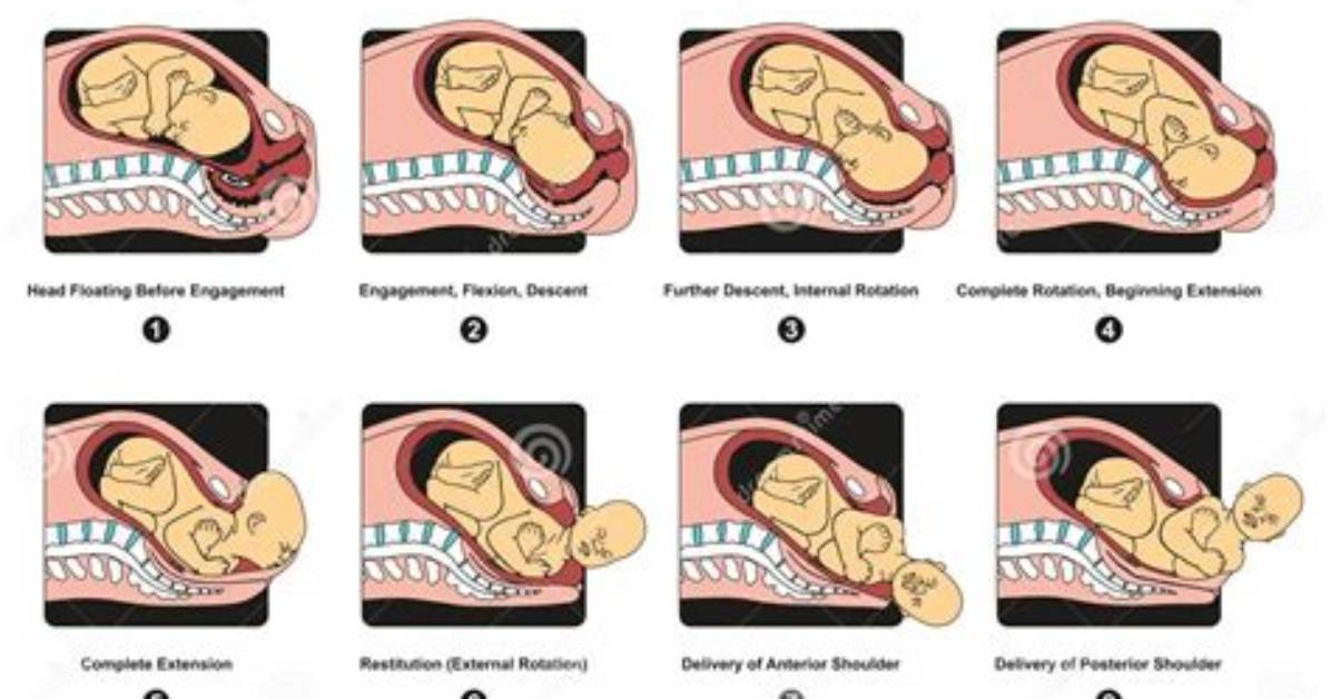 When Does Pre Labor Begin?