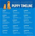 When Does Puppy Get Released?