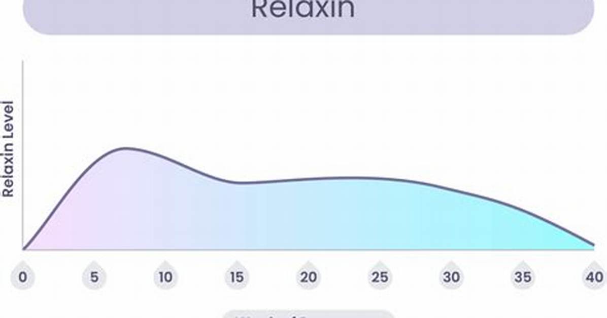 When Does Relaxin Start?