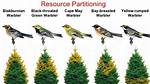 When Does Resource Partitioning Occur?