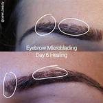When Does Scabbing Start Microblading?