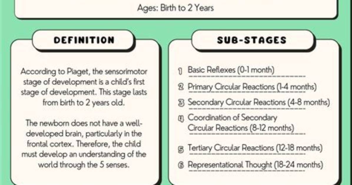 When Does Sensorimotor Occur?