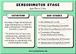 When Does Sensorimotor Occur?