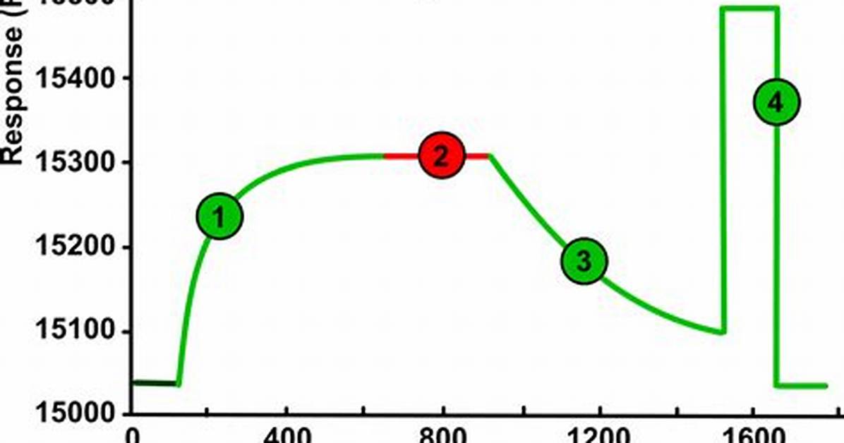 When Does Steady State Occur?