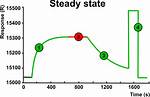 When Does Steady State Occur?