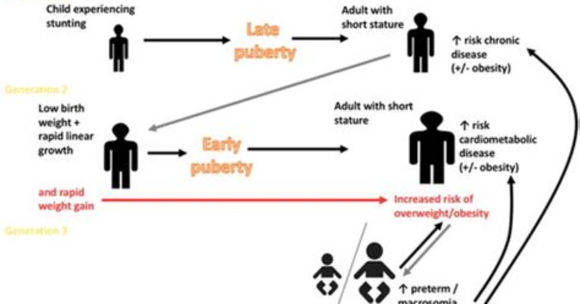 When Does Stunting Occur?