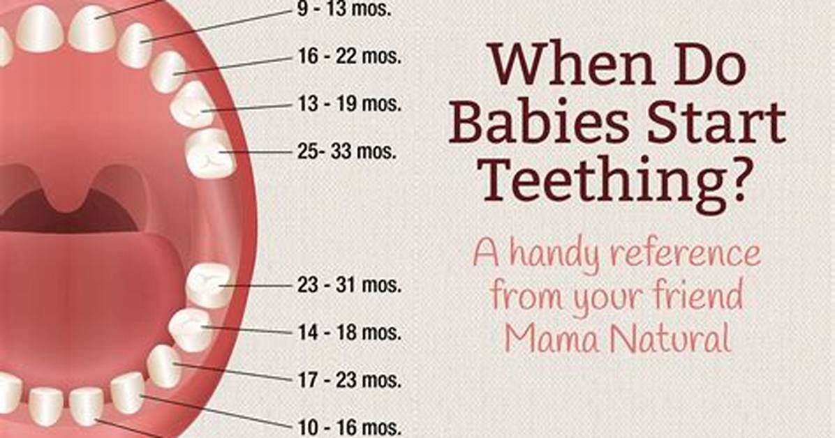 When Does Teething Start?