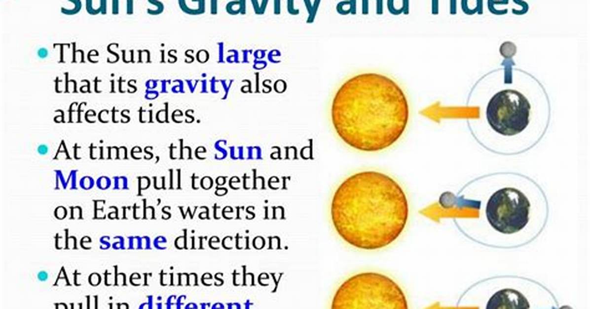 When Does the Sun's Gravity Influence Tides?