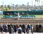 When Does Turf Paradise Open?