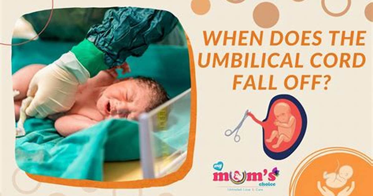 When Does Umbilical Fall off?