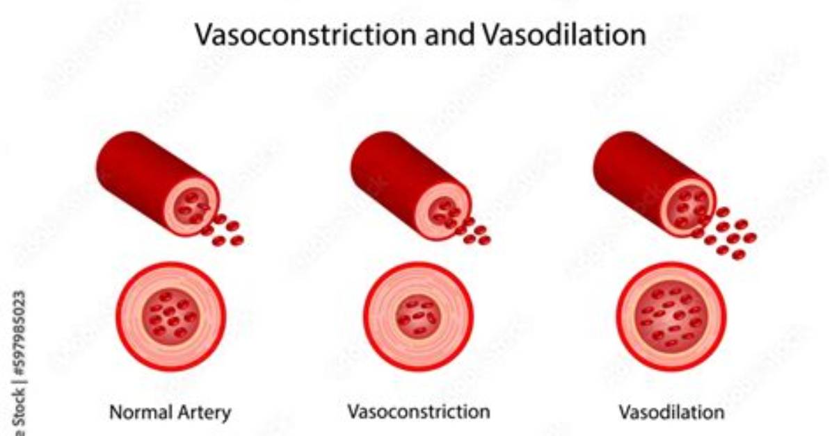 When Does Vasoconstriction Occur?