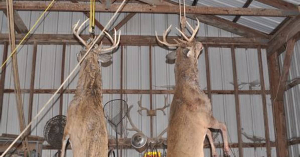 When Does Venison Go Bad?