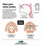 When Does Your Voice Fully Develop