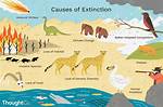 When Extinction Is a Natural Process?
