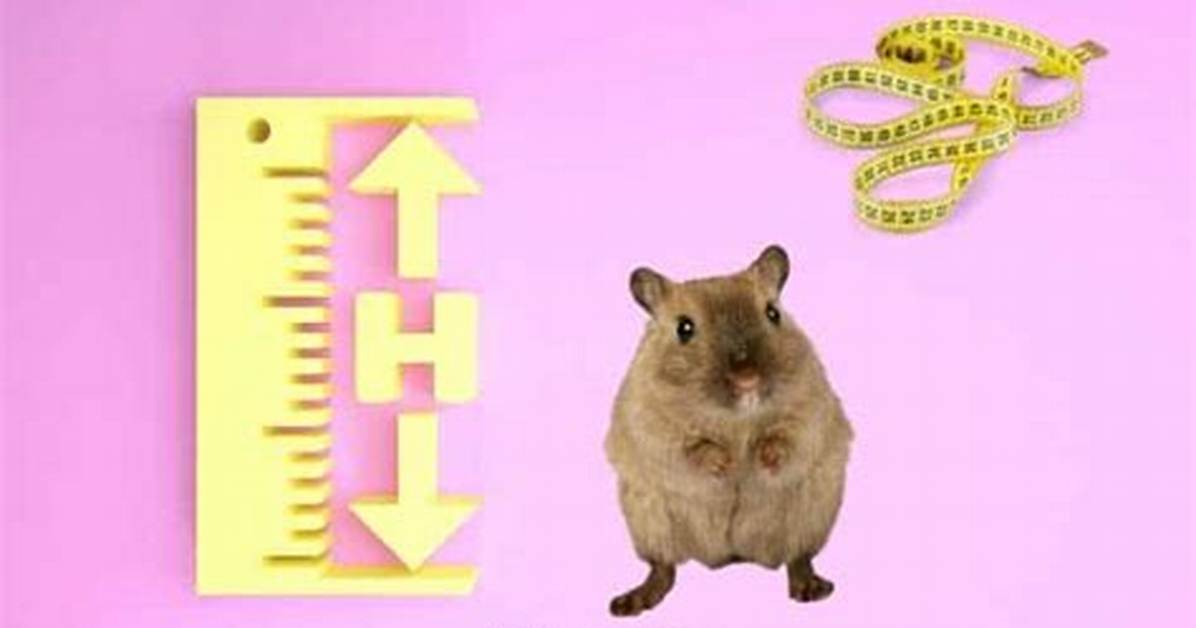 When Gerbils Stop Growing?