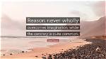 When Imagination Overcomes Reason?