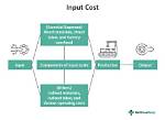 When Input Costs Increase?