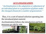 When Is Acclimatization Used?