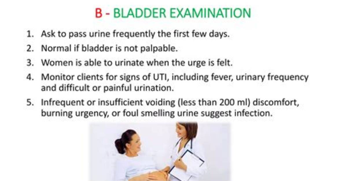 When Is Bladder Palpable?