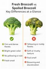 When Is Broccoli Bad