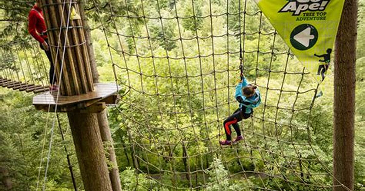 When Is Go Ape Open?